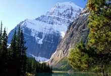 lol合区-绿茵场上的战术棋局，莫德里奇防守艺术与新西兰逆袭埃及的启示