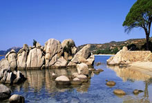 lol全球总决赛-赛道与球场，F1争冠焦点战与骑士单节拉开国王的双重奏